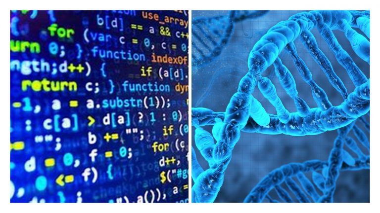 DNA USES A CODING LANGUAGE SIMILAR TO COMPUTER PROGRAMMING – Evolution ...