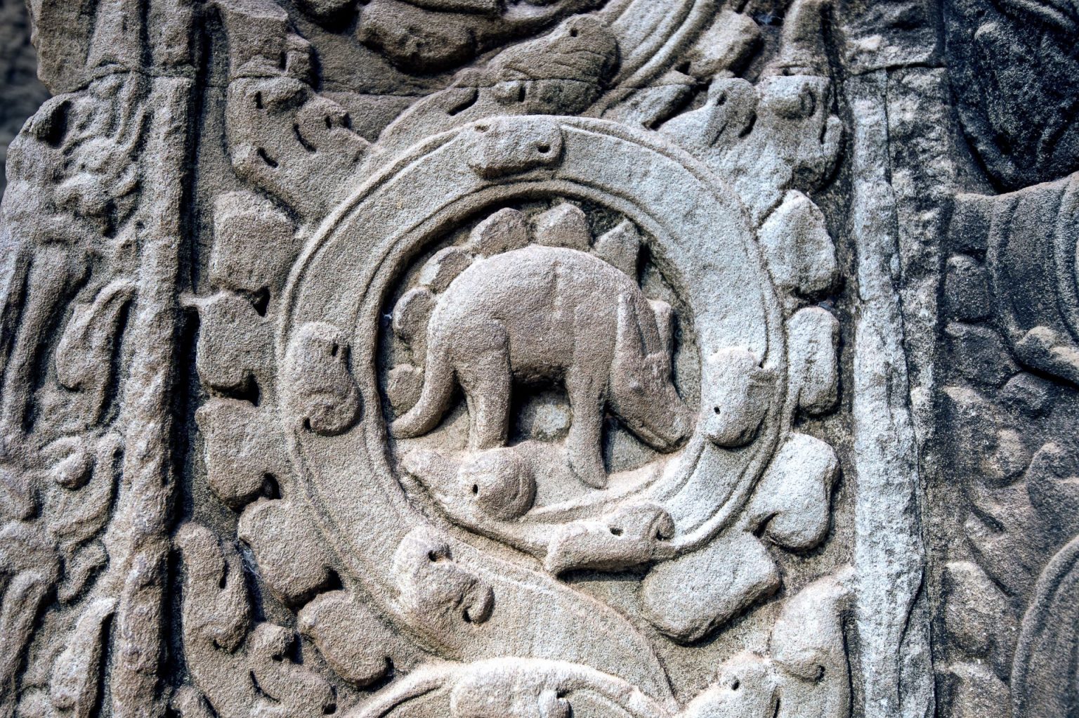 STEGOSAURUS STONE CARVING FOUND ON CAMBODIAN TEMPLE Evolution is a Myth