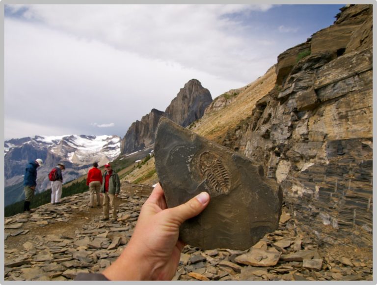 MARINE FOSSILS FOUND ON THE HIGHEST MOUNTAIN TOPS Evolution is a Myth
