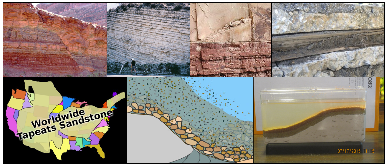 FOSSILS ARE CREATED QUICKLY BY MASSIVE FLOOD WATERS Evolution is a Myth