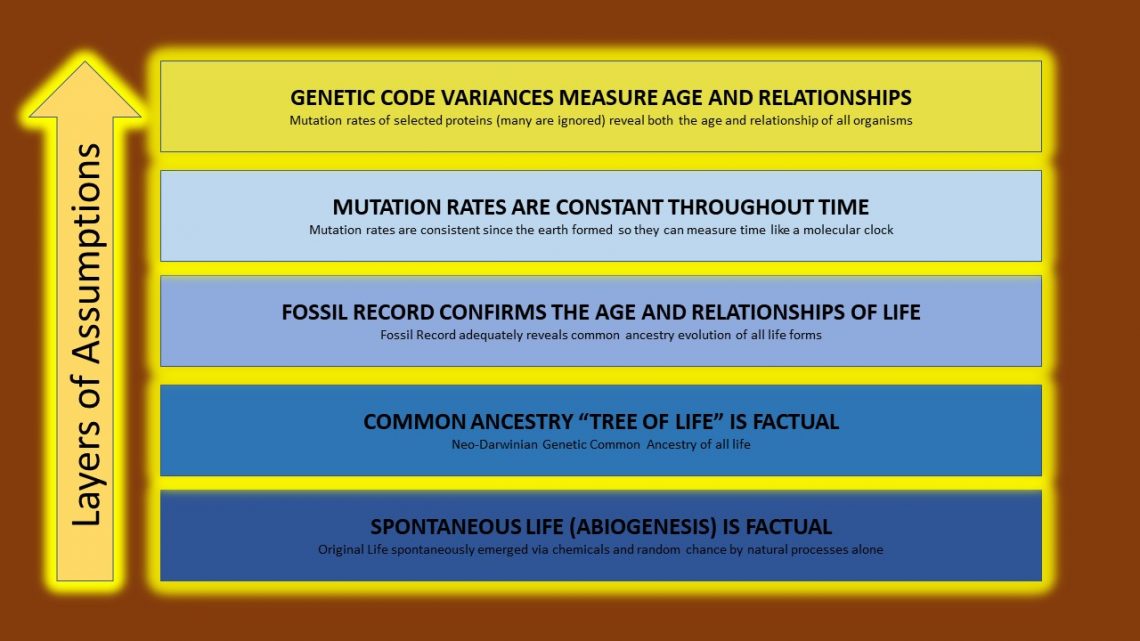 MOLECULAR CLOCKS ARE CALIBRATED BY ASSUMPTIONS Evolution is a Myth