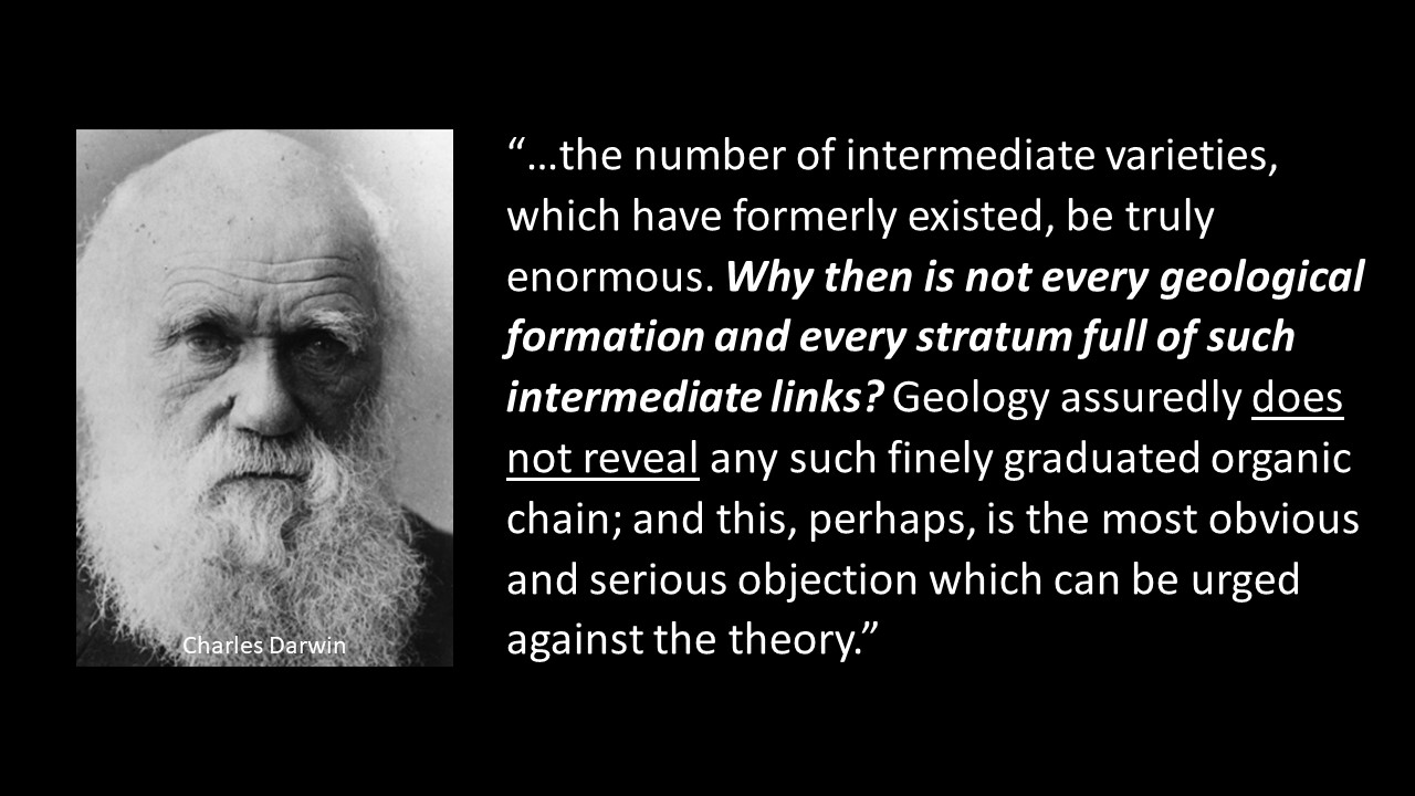 MOLECULAR CLOCKS ARE CALIBRATED BY ASSUMPTIONS Evolution is a Myth