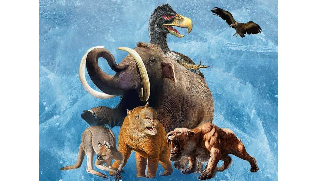 EVOLUTIONARY TEXTBOOKS FOCUS ON EXTINCT ORGANISMS WHY? Evolution is