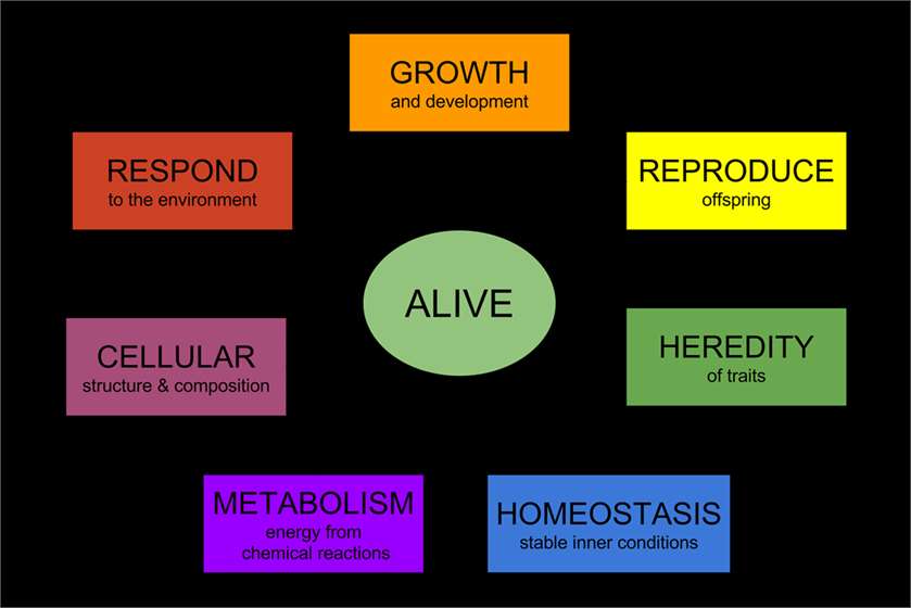 WHAT KEY CRITERIA MAKES SOMETHING ALIVE? Evolution is a Myth