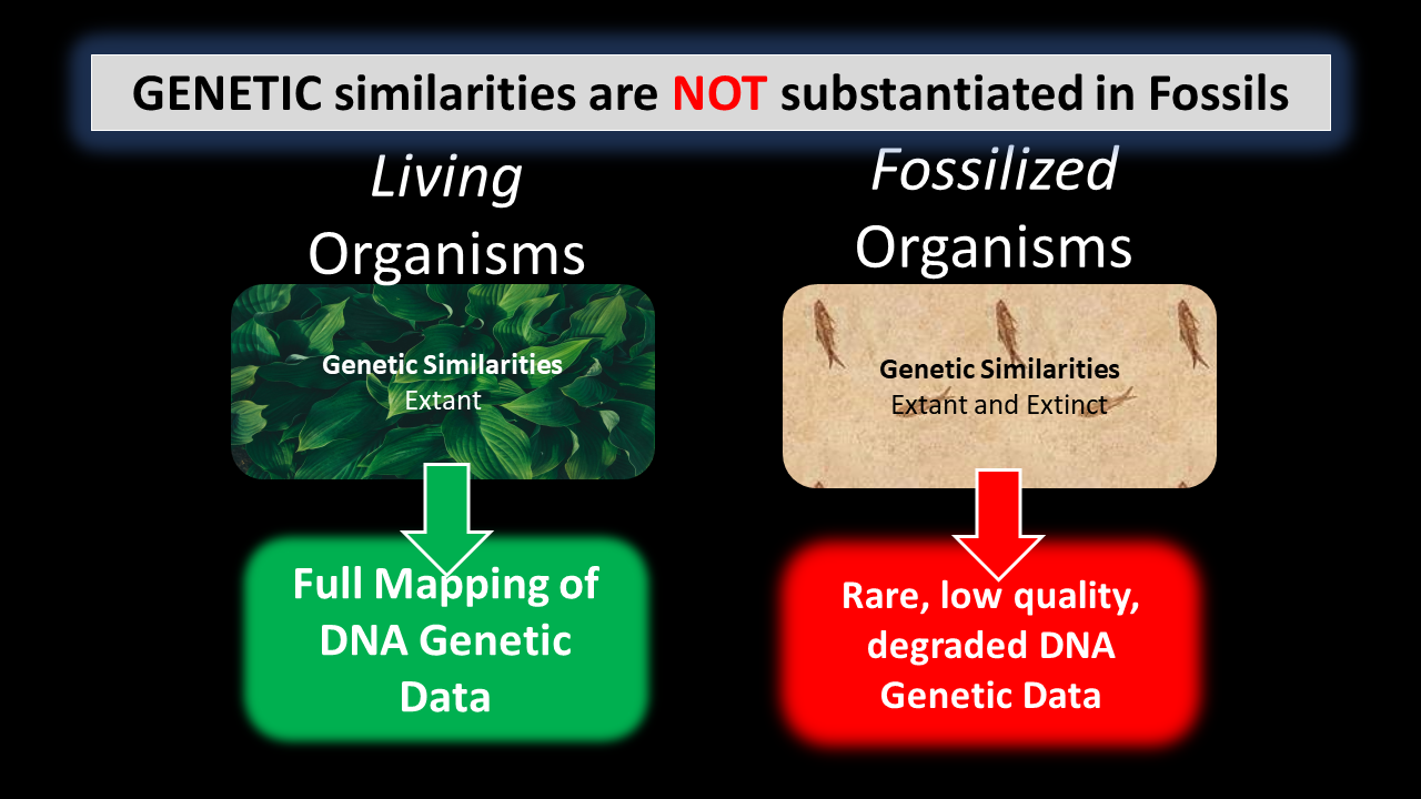 SIMILARITIES ARE NOT VALIDATED BY FOSSIL EVIDENCE Evolution